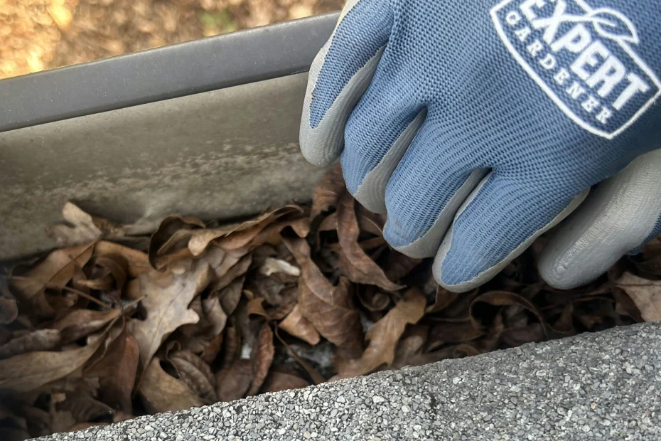 Gutter Cleaning Eureka, MO